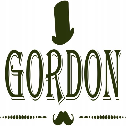 B804PRO Gordon Professional shaver