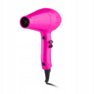 W008F Labor pro Dryer small tourist